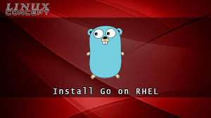 how to install go on rhel 6 red hat