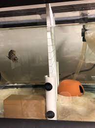 Check out our tank divider selection for the very best in unique or custom, handmade pieces from our aquariums & tank décor shops. Diy Tank Divider Separator The Cichlid Stage