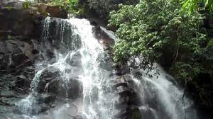 Sirimane falls, is among the many waterfalls that the state is endowed with. Tourist Guide To Sirimane Falls Near Sringeri Karnataka Youtube
