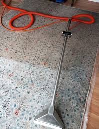 10 000 lakes carpet cleaning photos