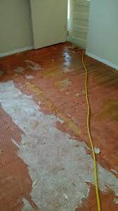 ann arbor hardwood floors mi carpet