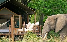 luxury safari southern africa tours