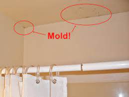 black mold removal and prevention in