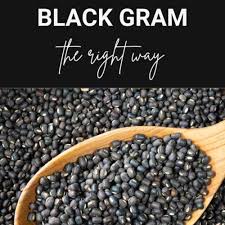 black gram 101 nutrition benefits