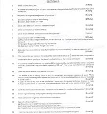 CBSE Board Exam Sample Papers  SA    Class X     Science   AglaSem     Amazon in