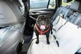 10 Best Dog Car Seat Covers In 2024