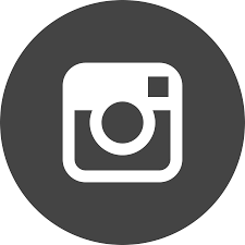 Instagram Circle Vector Logo Download Free Svg Icon Worldvectorlogo
