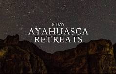 Ayahuasca Retreat | April — Ayahuasca Retreats...