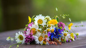 Rsultat de recherche dimages pour bouquet de fleurs sauvages photos