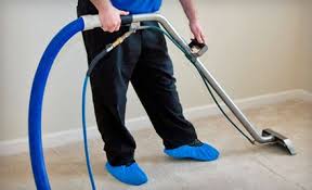 carpet or sofa steam cleaning