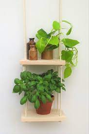Buy Hanging Shelf Kitchen Herb Garden