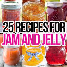 25 recipes for jam jelly real housemoms