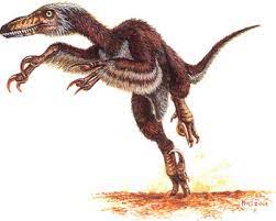 Check spelling or type a new query. Dromaeosauridae