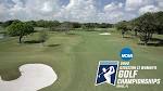 UWF Seeded 12th in NCAA South Regional Tournament - University of ...