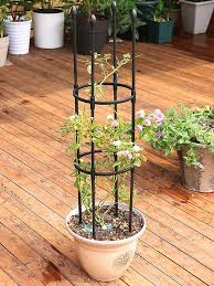 Garden Obelisk Trellis Tower For