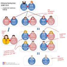 Maternal Relatives In The Chinese Family Tree Are Known As