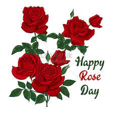 happy rose day images hd pictures for