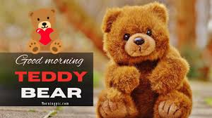 110 good morning teddy bear images