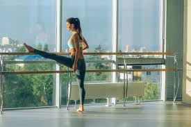 5 diffe types of ballet barres
