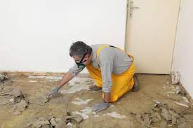 how to get black mold out of carpet