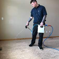 carpet cleaning near shady cove