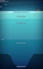 5 Depth Zones Have Been Identified In The Ocean Life Is