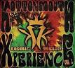 The Kottonmouth Xperience, Vol. 2