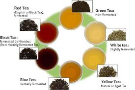 Green Tea White Tea Green Tea Classification Type