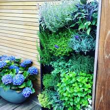 Indoor Outdoor Plant Walls