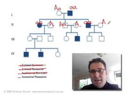 Pedigree Analysis 1 How To Solve A Genetic Pedigree No 1