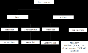 Flow Chart On Different Sources Of Energy Inputs Download