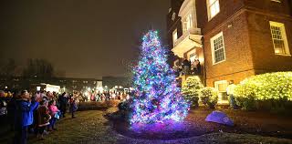 The Official Weymouth Christmas Tree Lighting At Town Hall