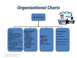 True Organizational Chart Of Jollibee Restaurant Business