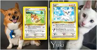 Show off your very own pokemon card collections.rares, holos, shinies, ex's, or anything else you want to share! Artist Helps In Transforming Your Adorable Pet Into A Pokemon Card