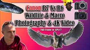 canon r7 vs r6 wildlife macro