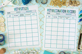 printable vet record template and pet