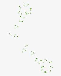 Large collections of hd transparent falling leaves png images for free download. Falling Green Leaves Png Images Transparent Falling Green Leaves Image Download Pngitem