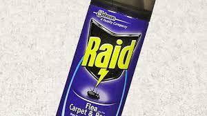 raid flea plus carpet room