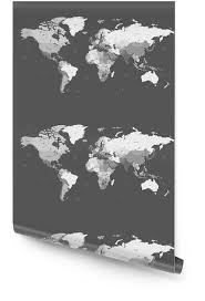 wallpaper roll gray detailed world map
