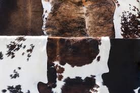 4 smart tips for cleaning cowhide rug