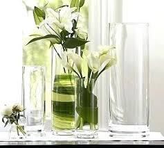 Cylinder Vase Clear Glass 19 50 Cm
