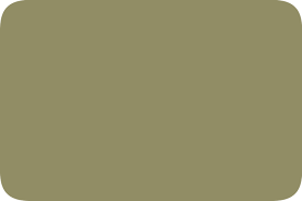 Ral7002 Olive Grey Color Plate Sample
