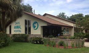 Animal hospital of pensacola is proud to serve pensacola, fl and the surrounding communities. Medical Home Davis Animal Hospital Veterinarian Pensacola