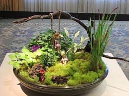 creating miniature and fairy gardens