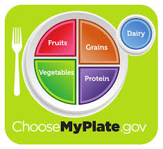 On the side, is an image for dairy. Myplate Wikipedia