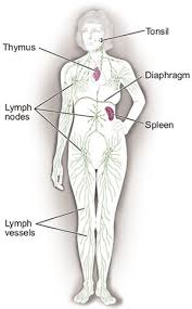 Learn more here about how the symptoms, causes, complications and treatment. Non Hodgkin Lymphoma Cancer Stat Facts