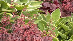 Early Fall Shade Garden With These Plants