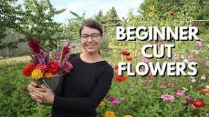 cut flower garden for beginners from