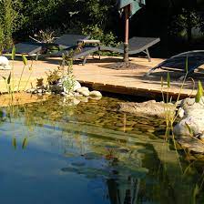 Try creating your own natural pool cleaner with household products you probably already have on. How To Build A Natural Swimming Pool Mother Earth News