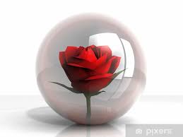 Wall Mural Rose In A Glass Bubble